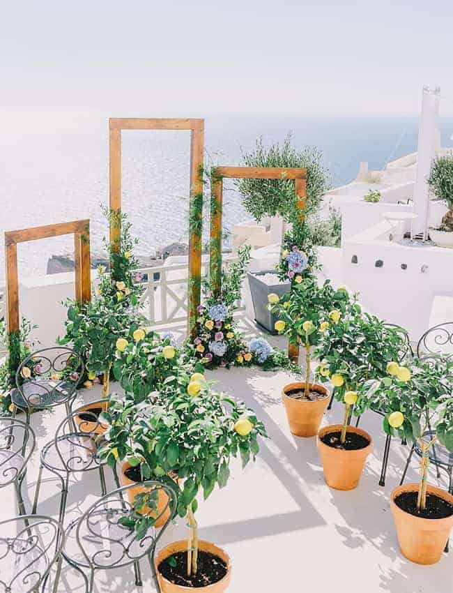 wedding ceremony decoration with lemon trees