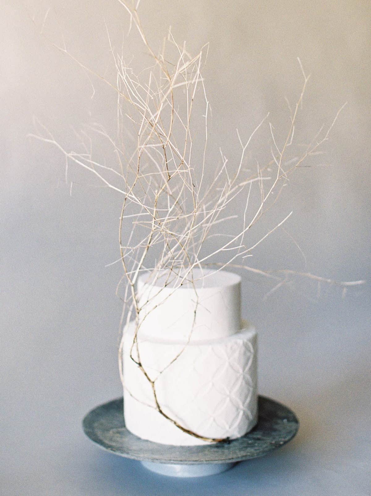 λευκή γαμήλια τούρτα με αποξυραμένα κλαδιά