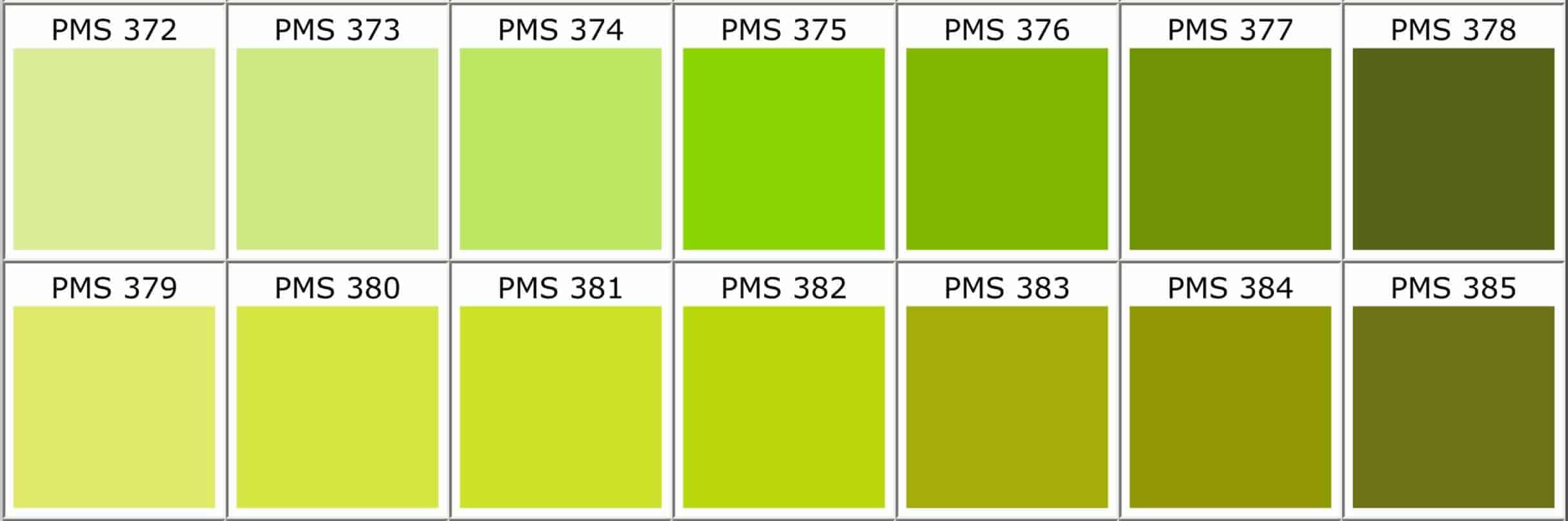 wedding-decoration-green-18